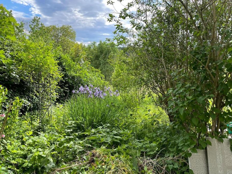 Freiblick 2 Bad Glbg mit Terrasse u Whirlpool Top 2 Bad Gleichenberg Exterior foto